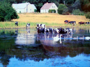 Engelsholm Bed & Breakfast in Bredsten